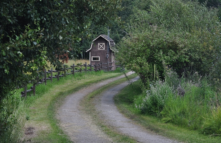 scenic landscape in vineyard country